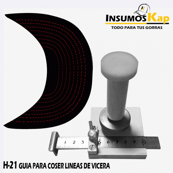 GUIA PARA COSER LINEAS DE VICERA